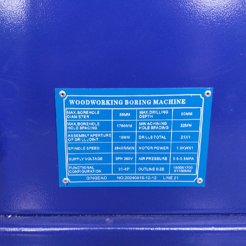 Сверлильно-присадочный станок DELTAMACHINERY DM ProLine 21Фото 7158-09.jpg