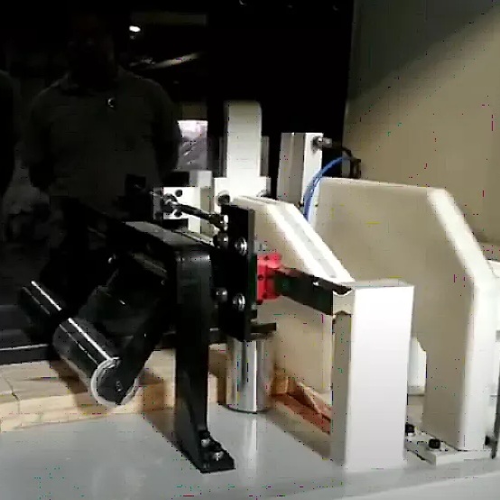 Автоматический торцовочный станок с вырезкой дефектов EcoWood MasterCut 250Фото 8660-03.jpg